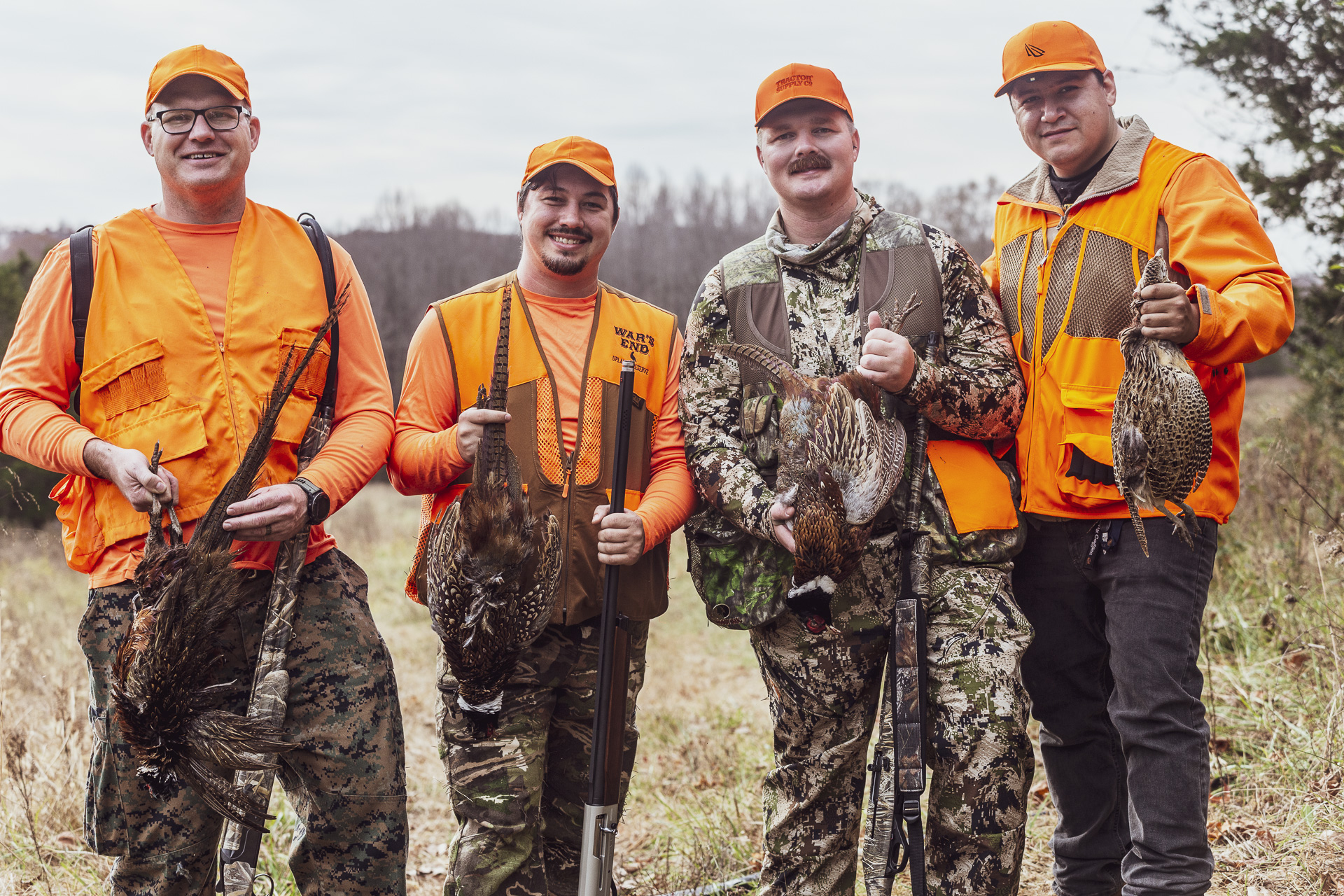 Guided hunting group with trained pointing dogs in open fields surrounded by fall foliage.