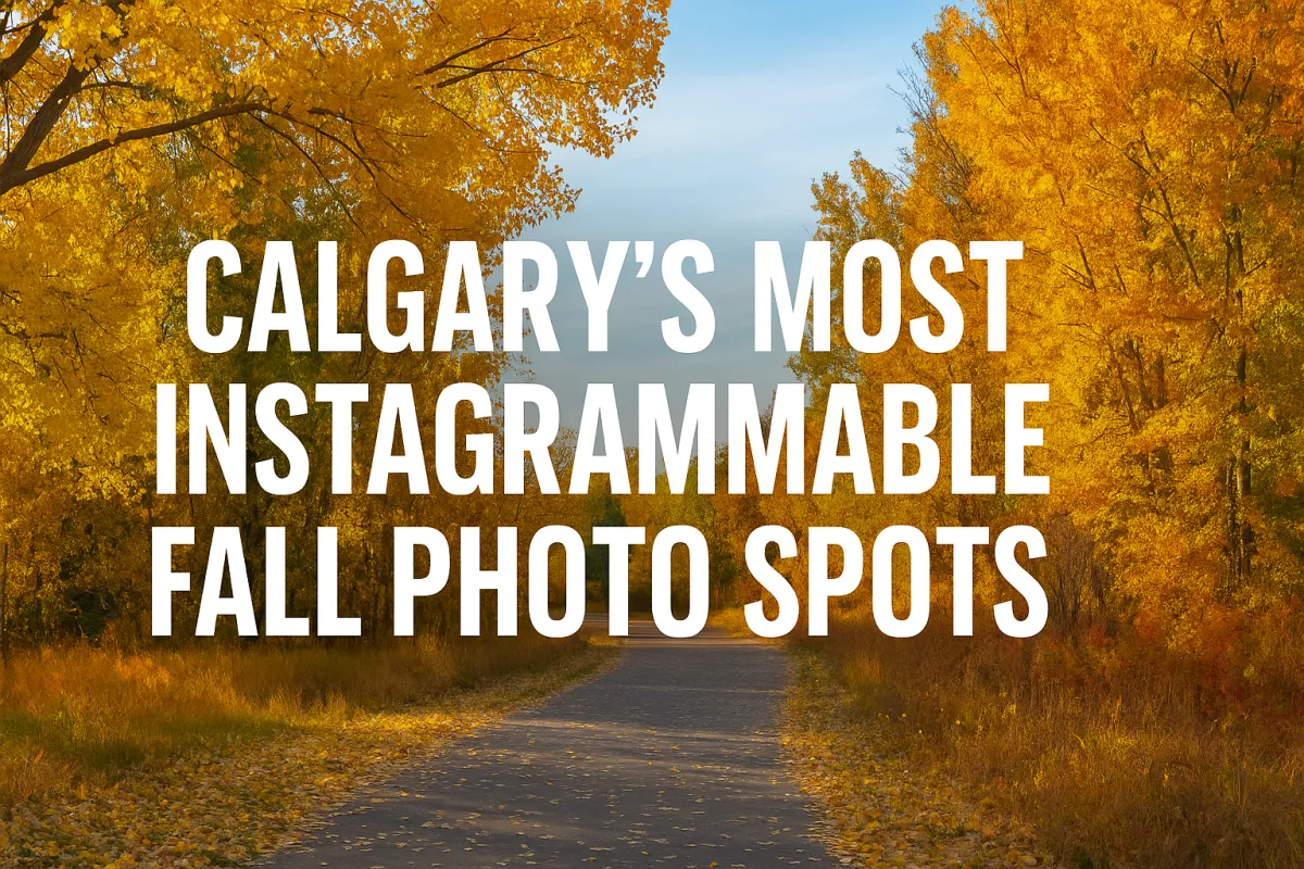 Stunning fall foliage at a scenic Calgary location perfect for autumn photography