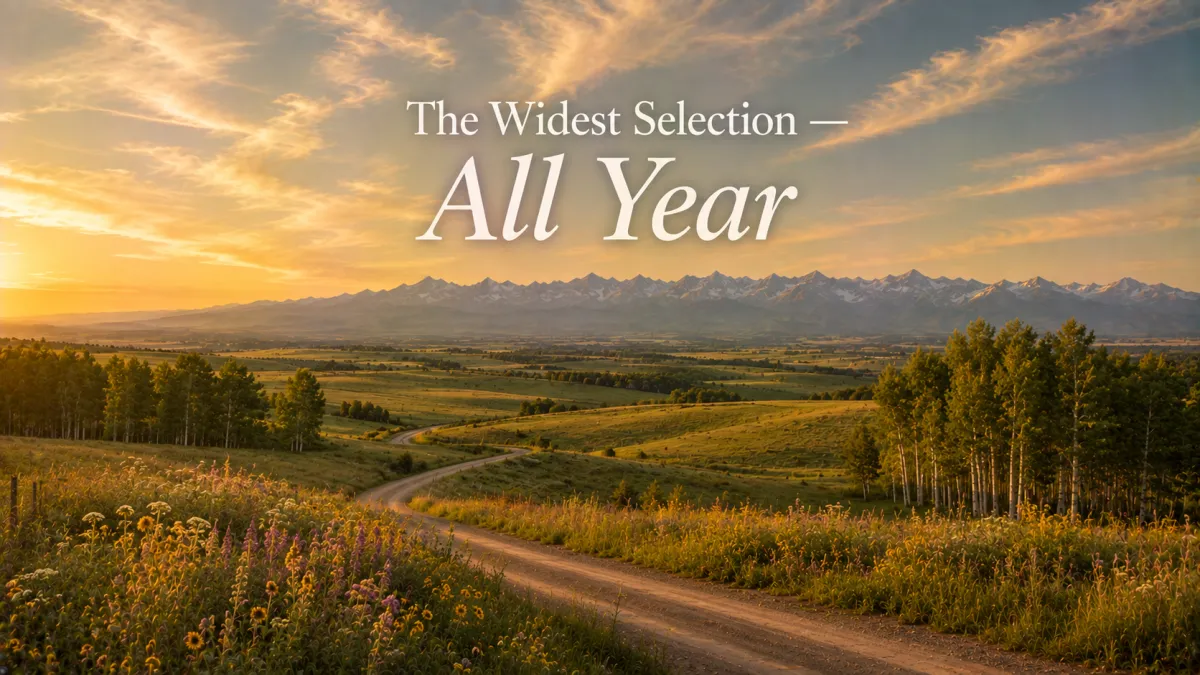 Why Late Summer Is the Widest Acreage Selection You'll See All Year in Rocky View