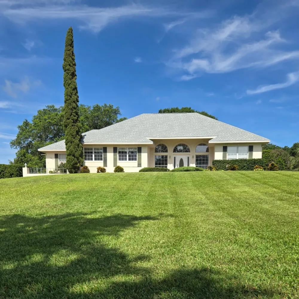 Ornamental & Palm Tree Trimming