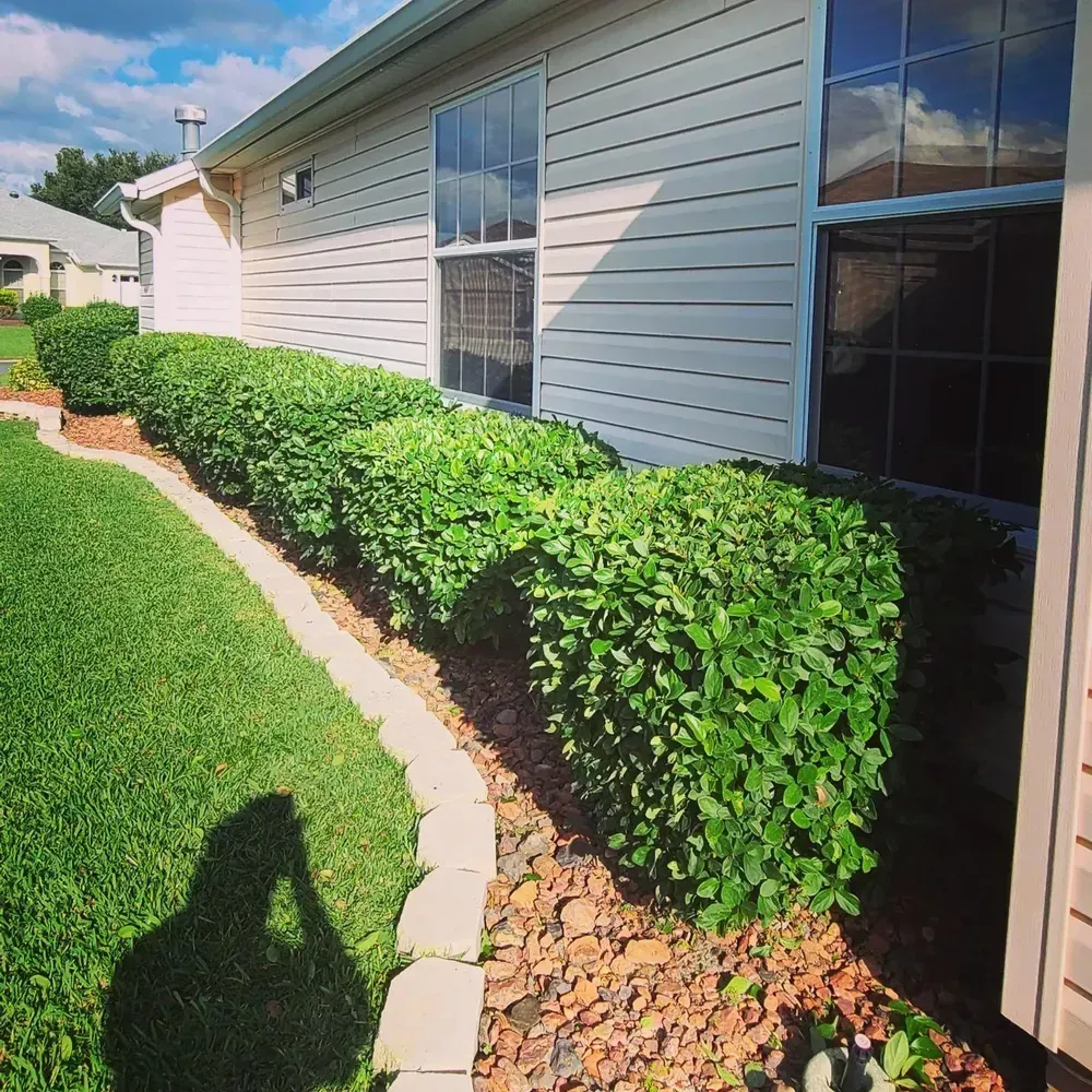 Lawn & Bushes Package