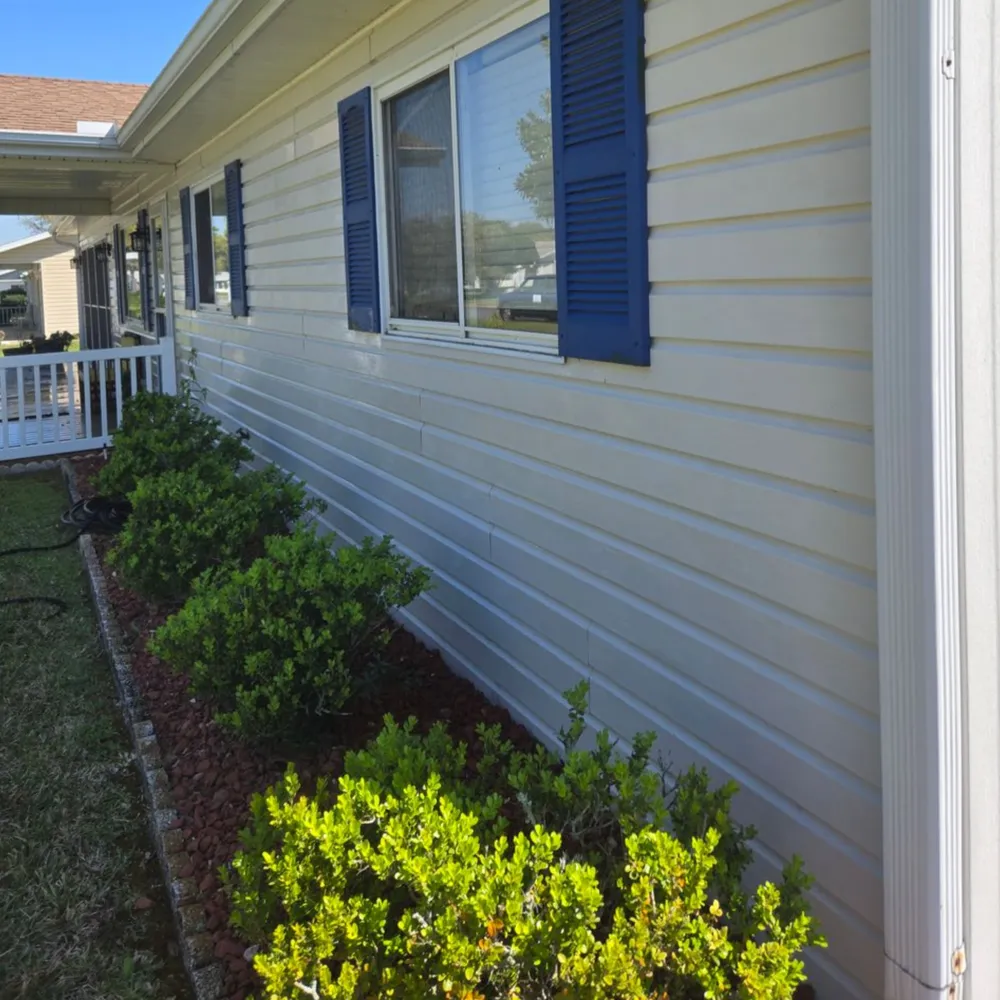 House Washing & Pressure Washing