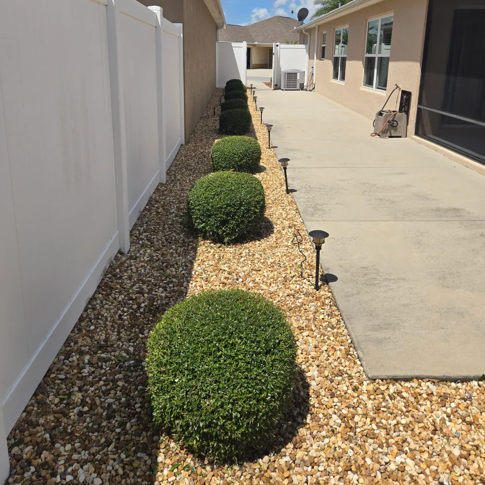 Quarterly Bush & Shrub Package