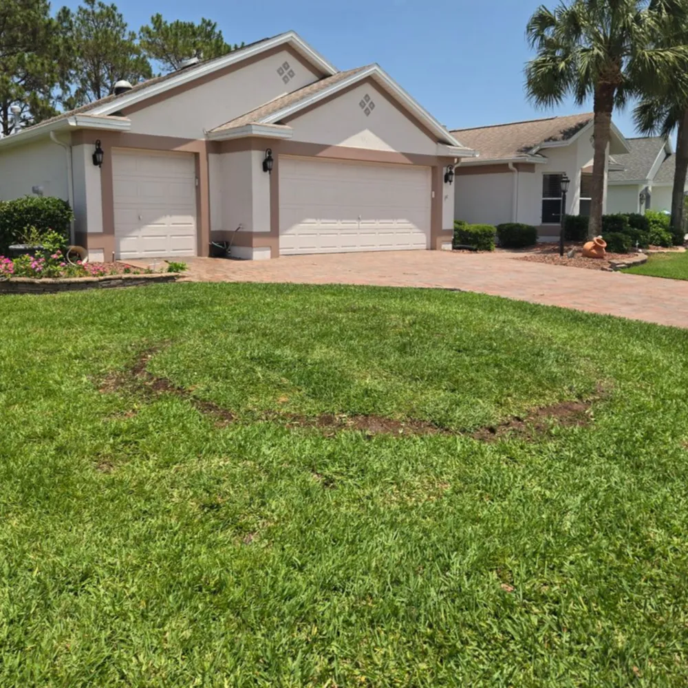 Lawn & Bushes Package