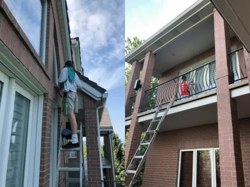Yard Cleaning 