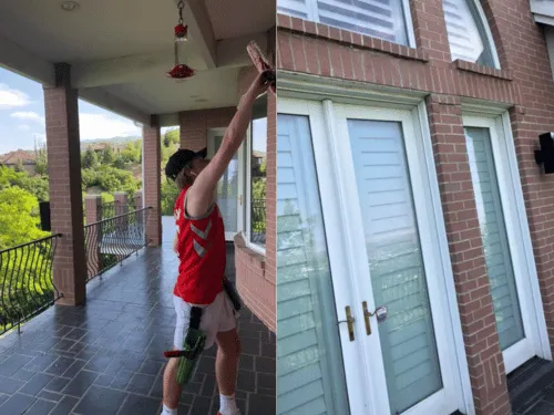 Residential House Cleaning 