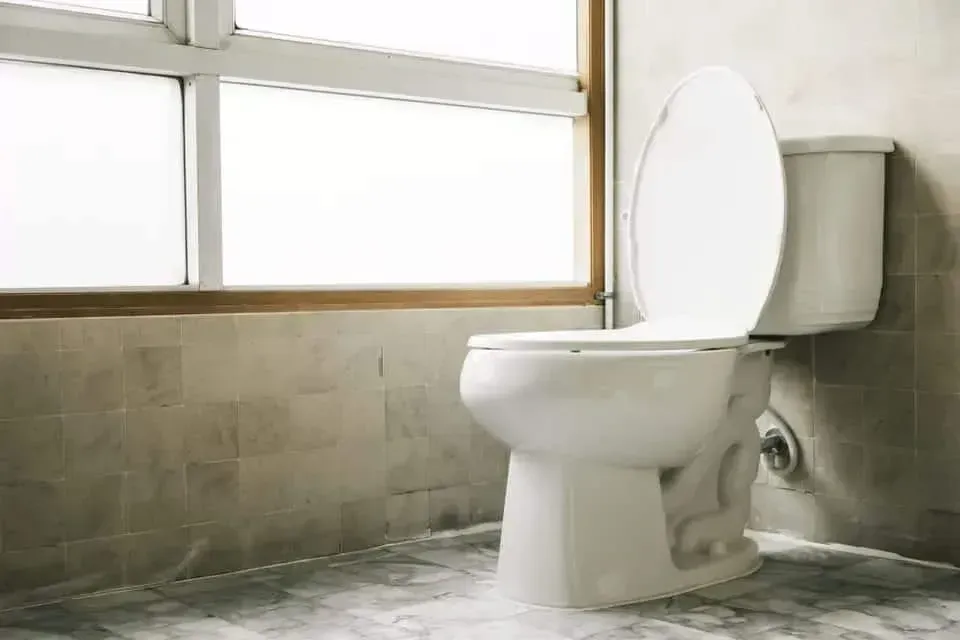 Toilet Replacement