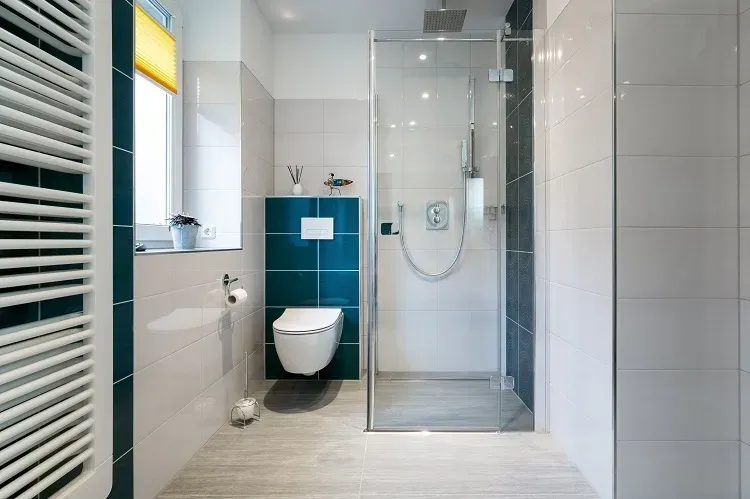 Glass Shower Doors