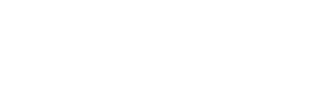 Fencing Miami Logo