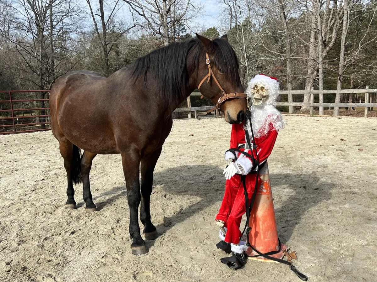 Pushy Horses and Posture