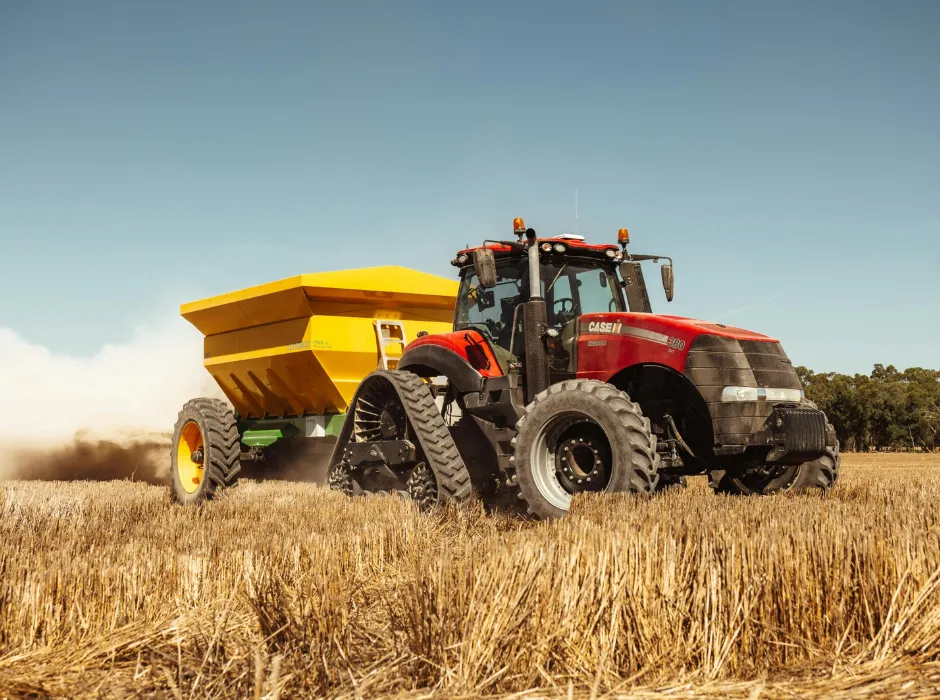 green leaf plant in close up photography