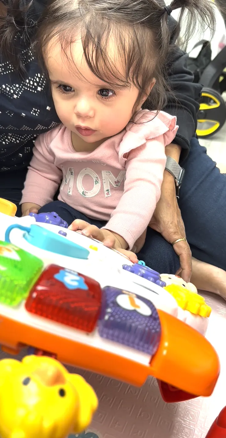 Virtual baby development program