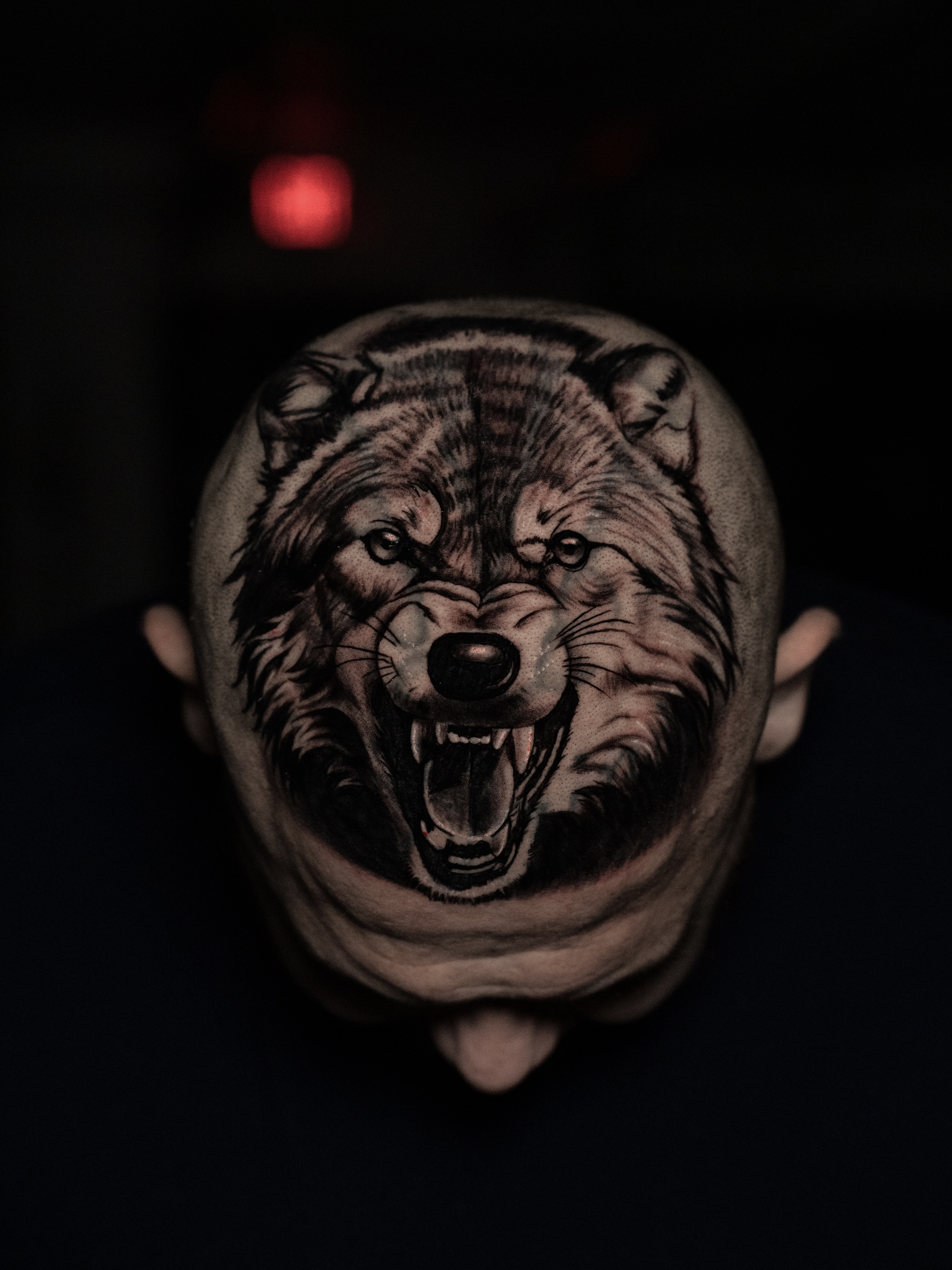 A delicate botanical tattoo wraps around a woman’s forearm, featuring fine line peonies and eucalyptus leaves. The design is minimalist, with subtle shading, and the photo is taken in natural daylight, emphasizing the softness and elegance of the artwork.