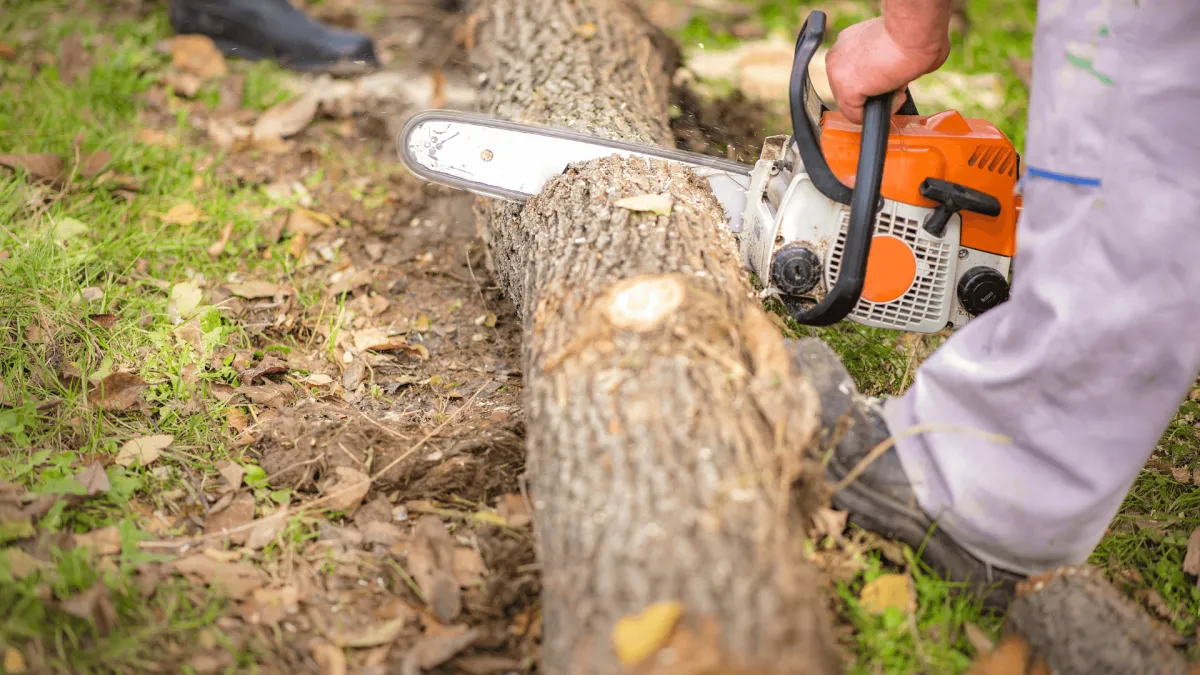 Tree Removal