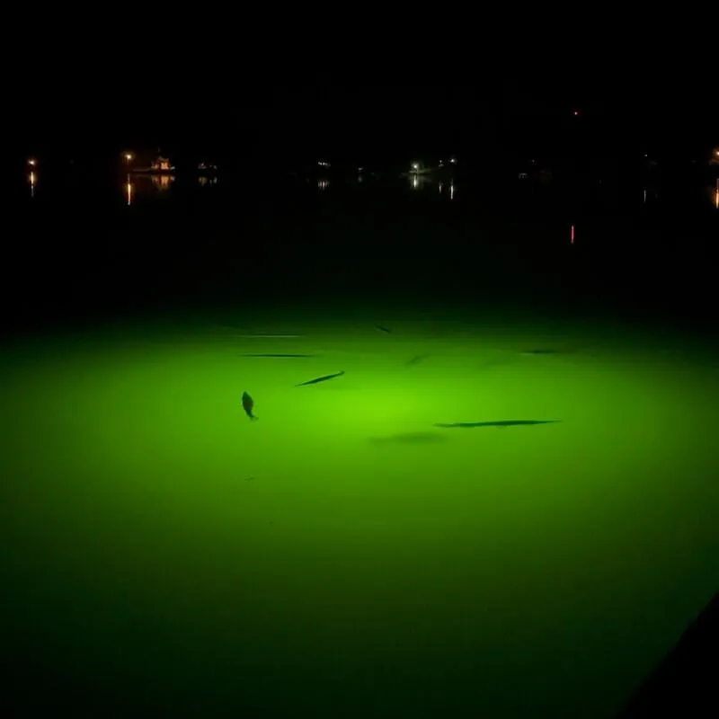Mallards Nest Outdoor Fun - Lakeside Green Monster Fishing Light