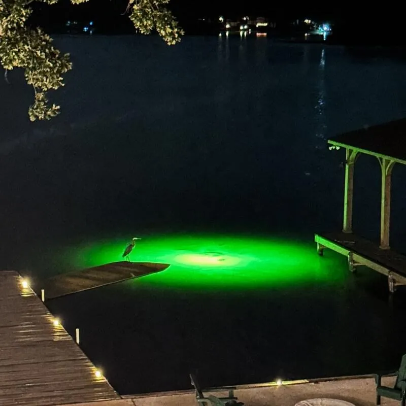 Green fishing light attracting fish at night Lay Lake fishing house rental