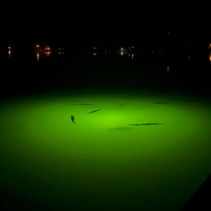 green monster green light at vacation rental - mallards nest on lay lake