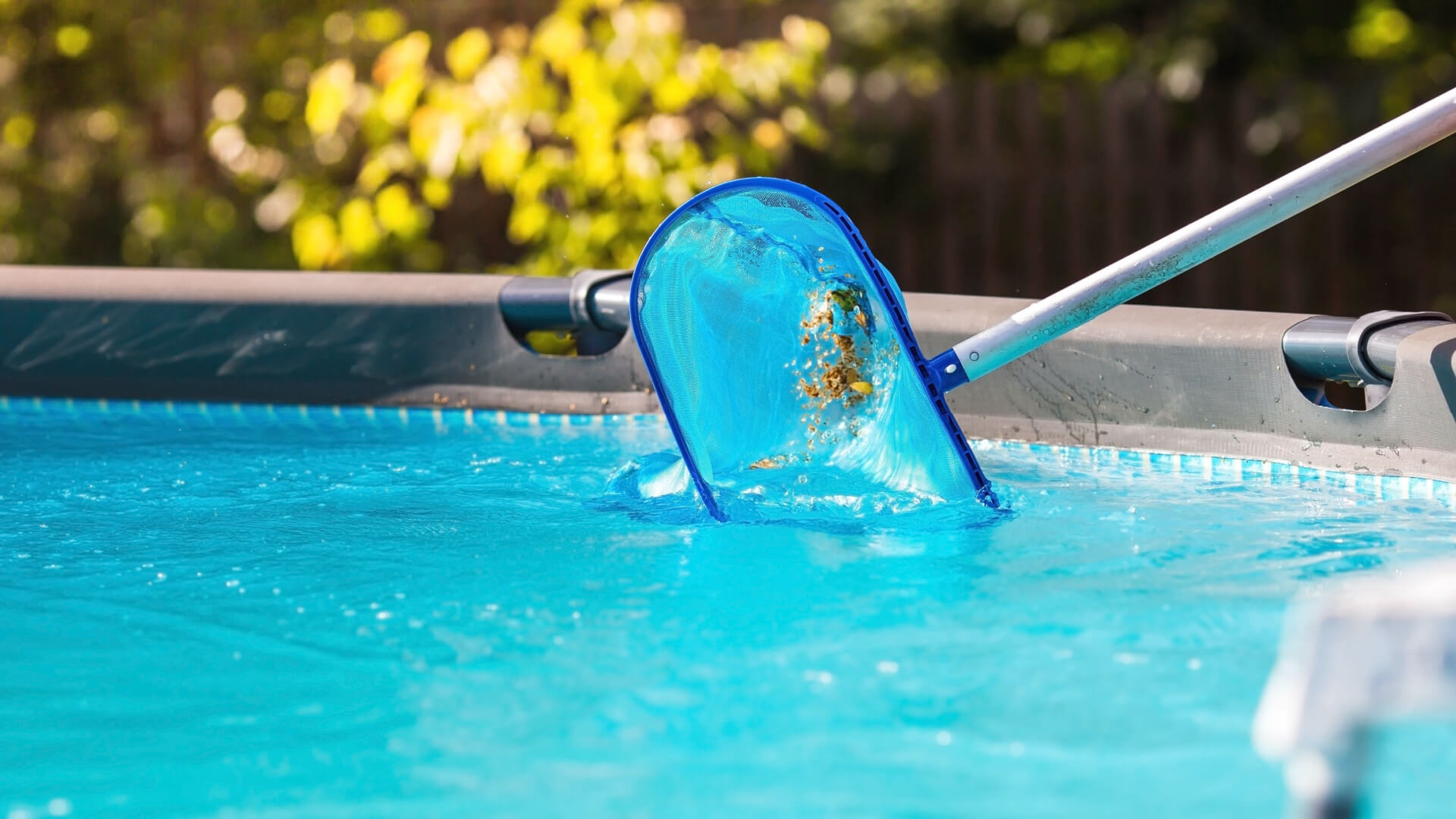 Arlington Pool Maintenance Services