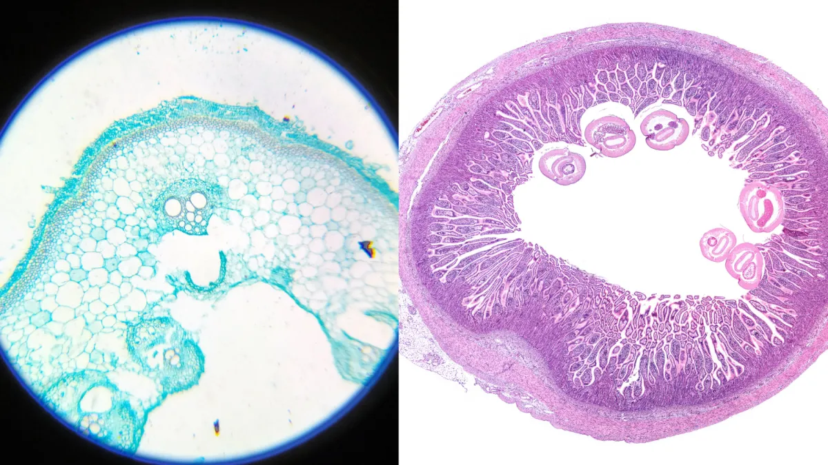man in gray t-shirt standing in front of mirror