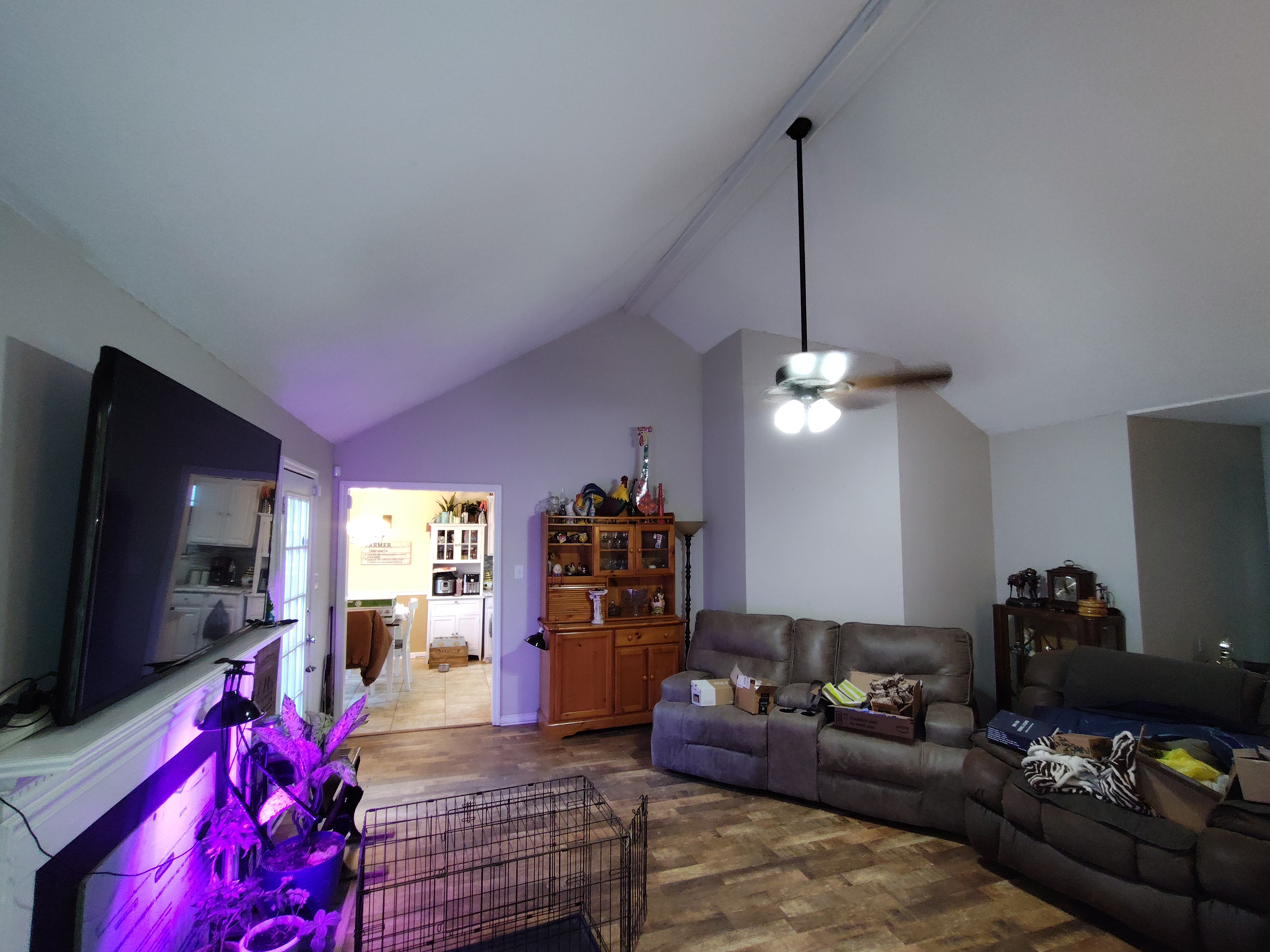 Sell my house cash in Byron GA. Living room with pet damage. Needs paint and flooring