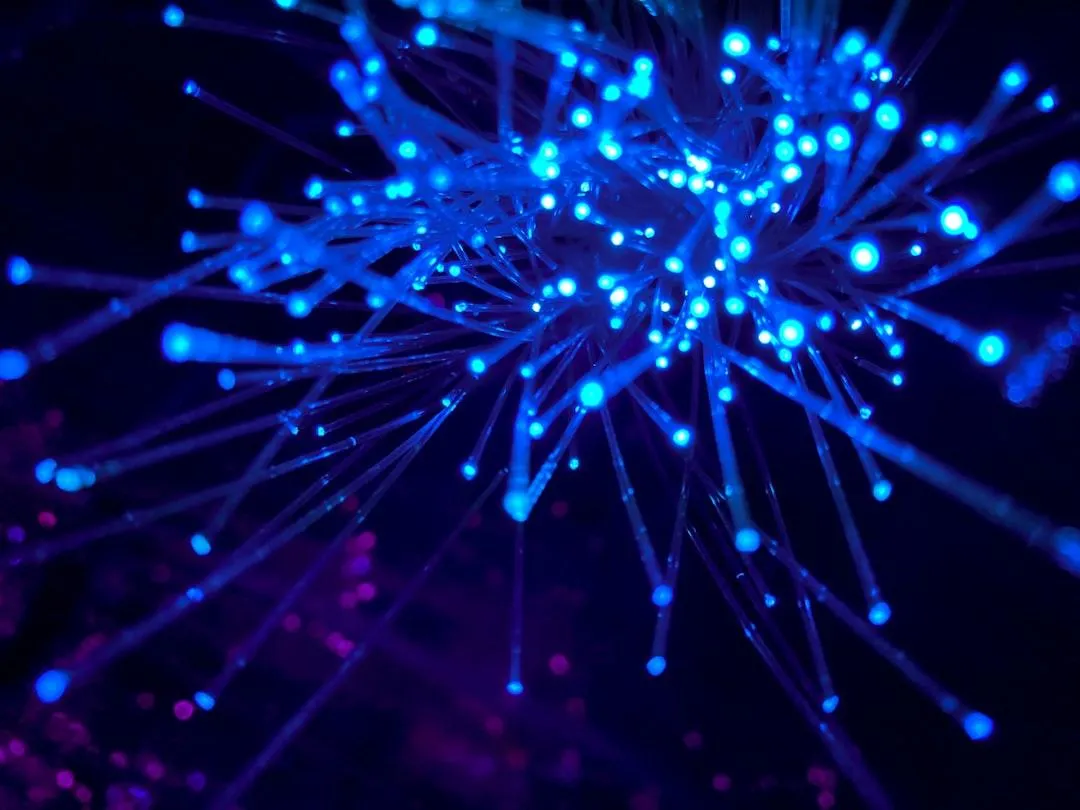 fiber uploads by BHM