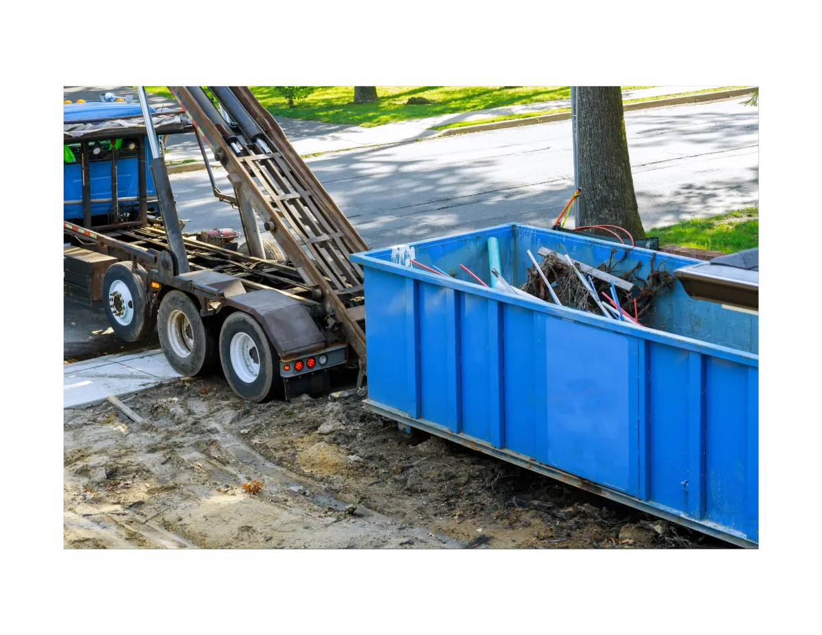 cardboard lot