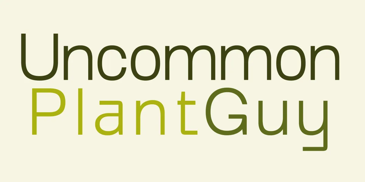 UncommonPlantGuy