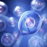 Support healing at the cellular level with Quantum Regression and Integration Therapy.