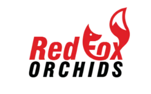 Red Fox Orchids