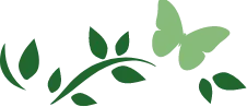 Butterfly and leaves graphic