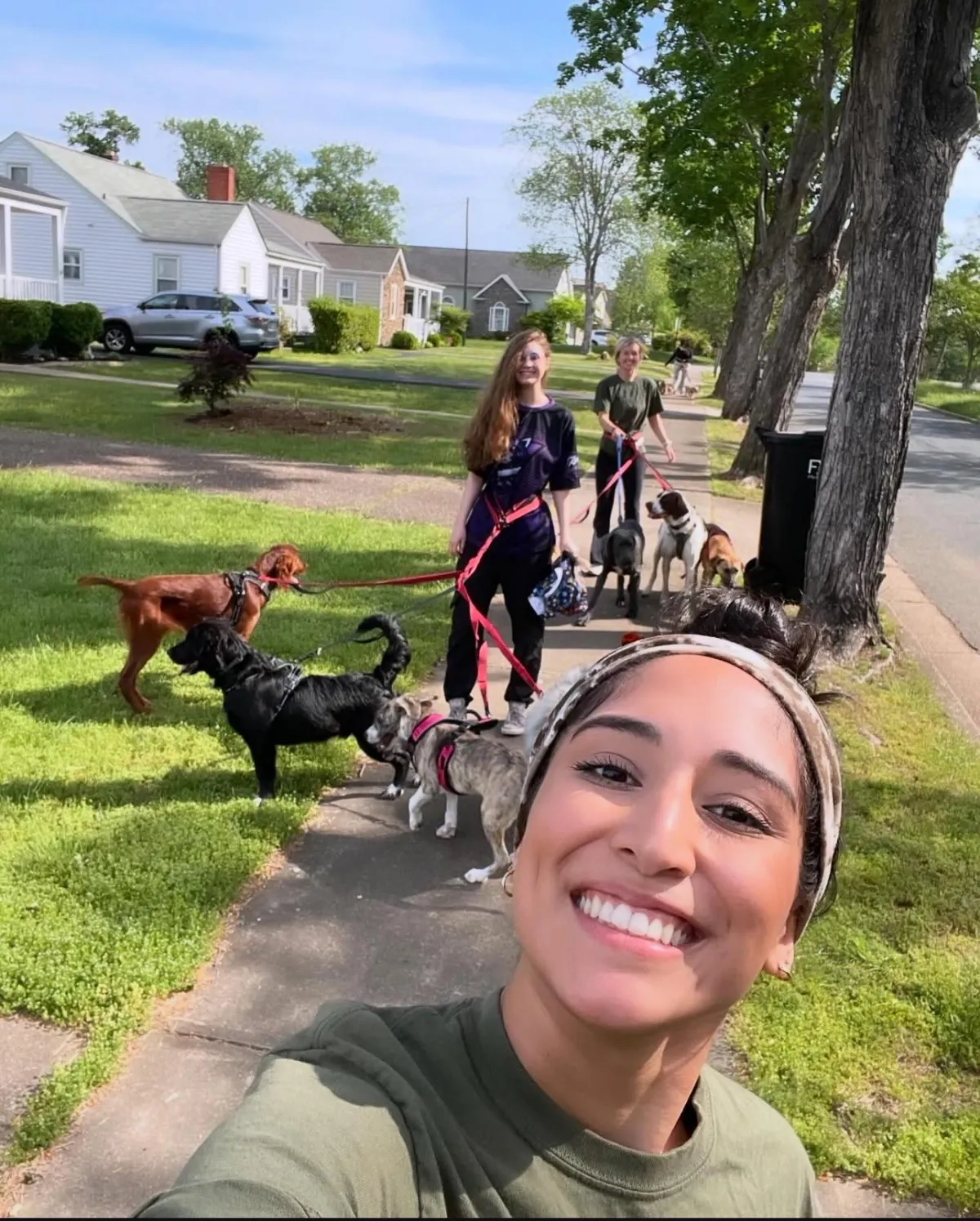 three dog trainers and dogs