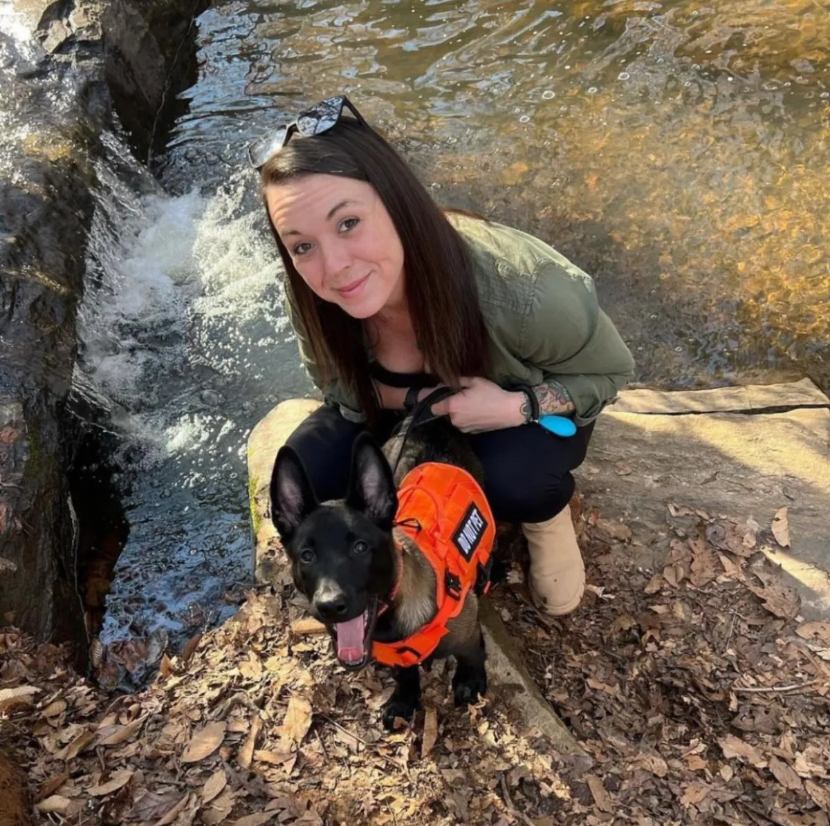 dog and trainer working together