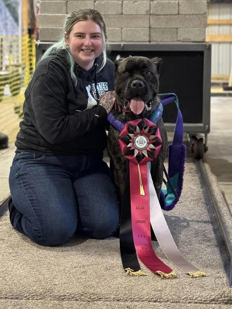 dog trainer and dog
