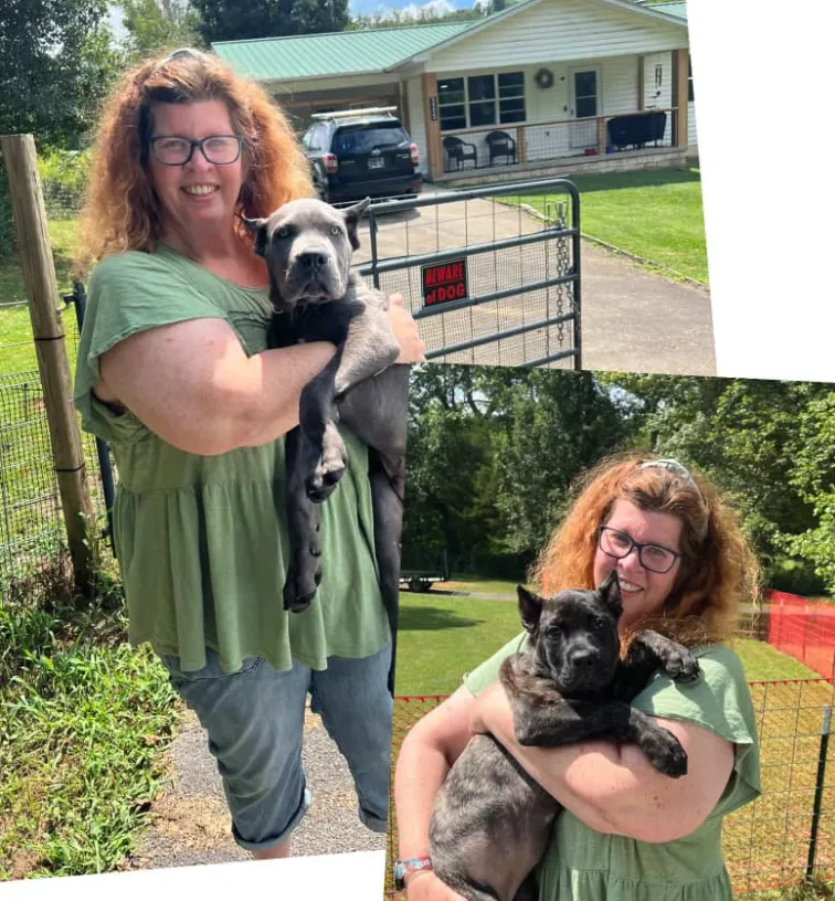 black and white boxer