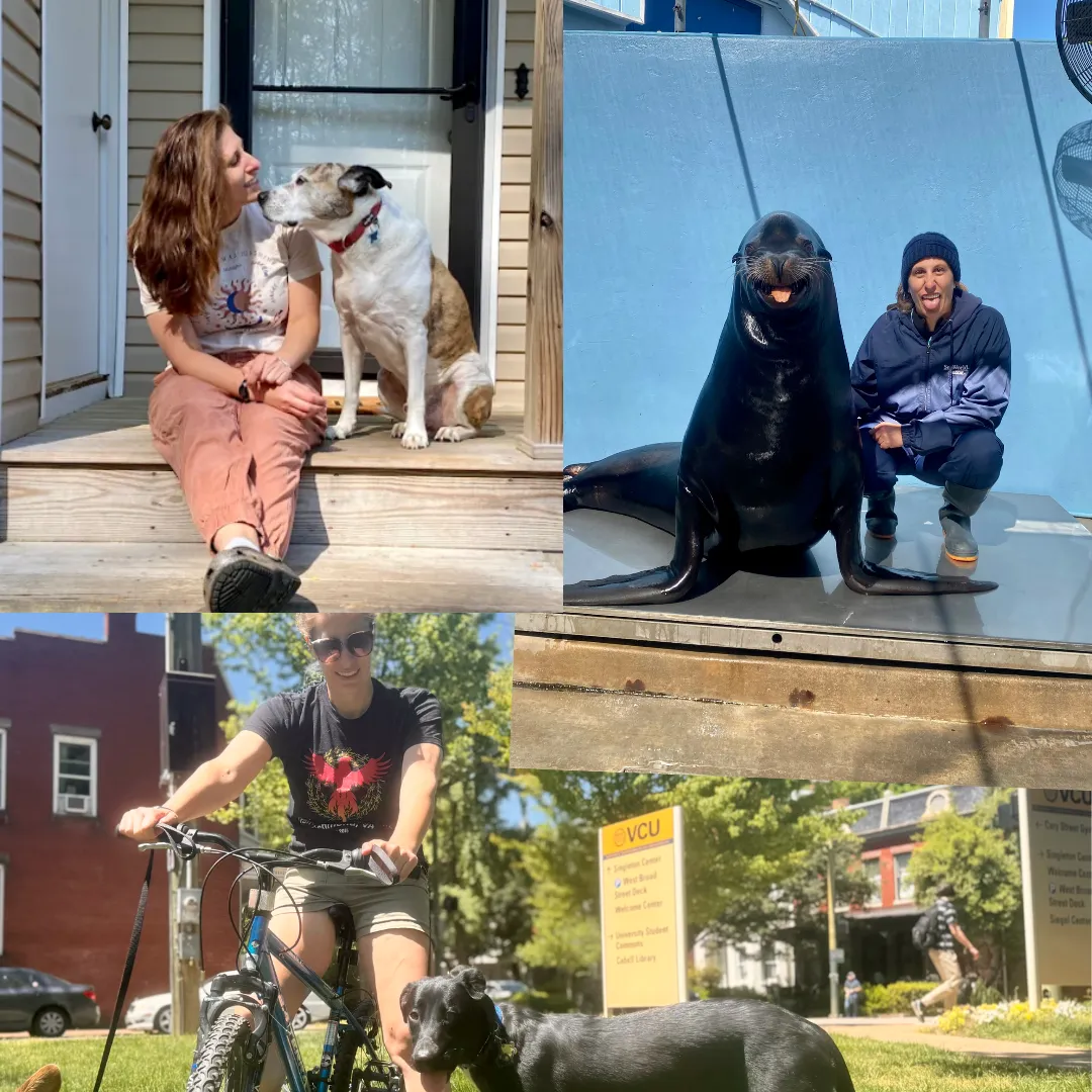 black and white boxer