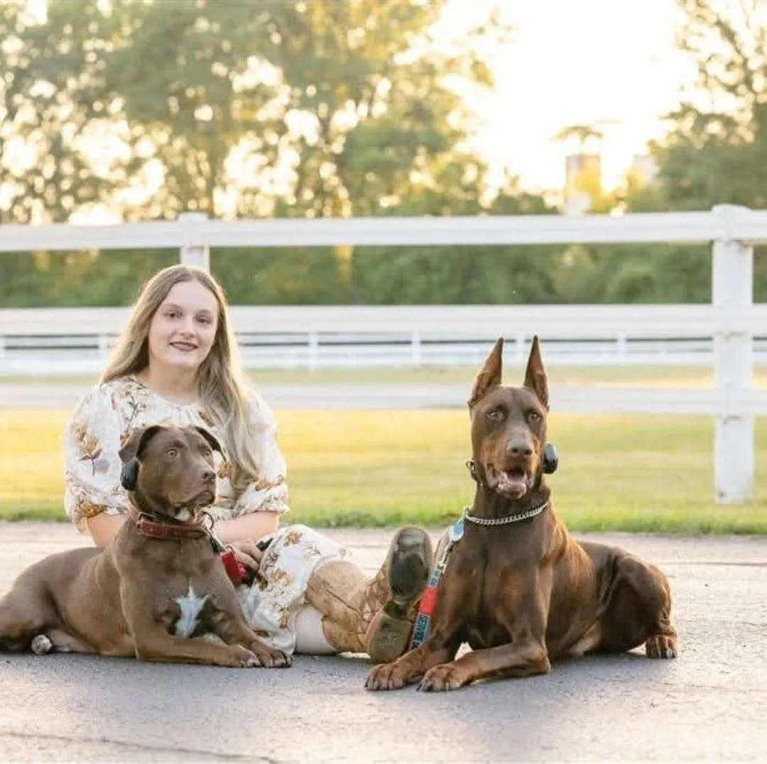 black and white boxer