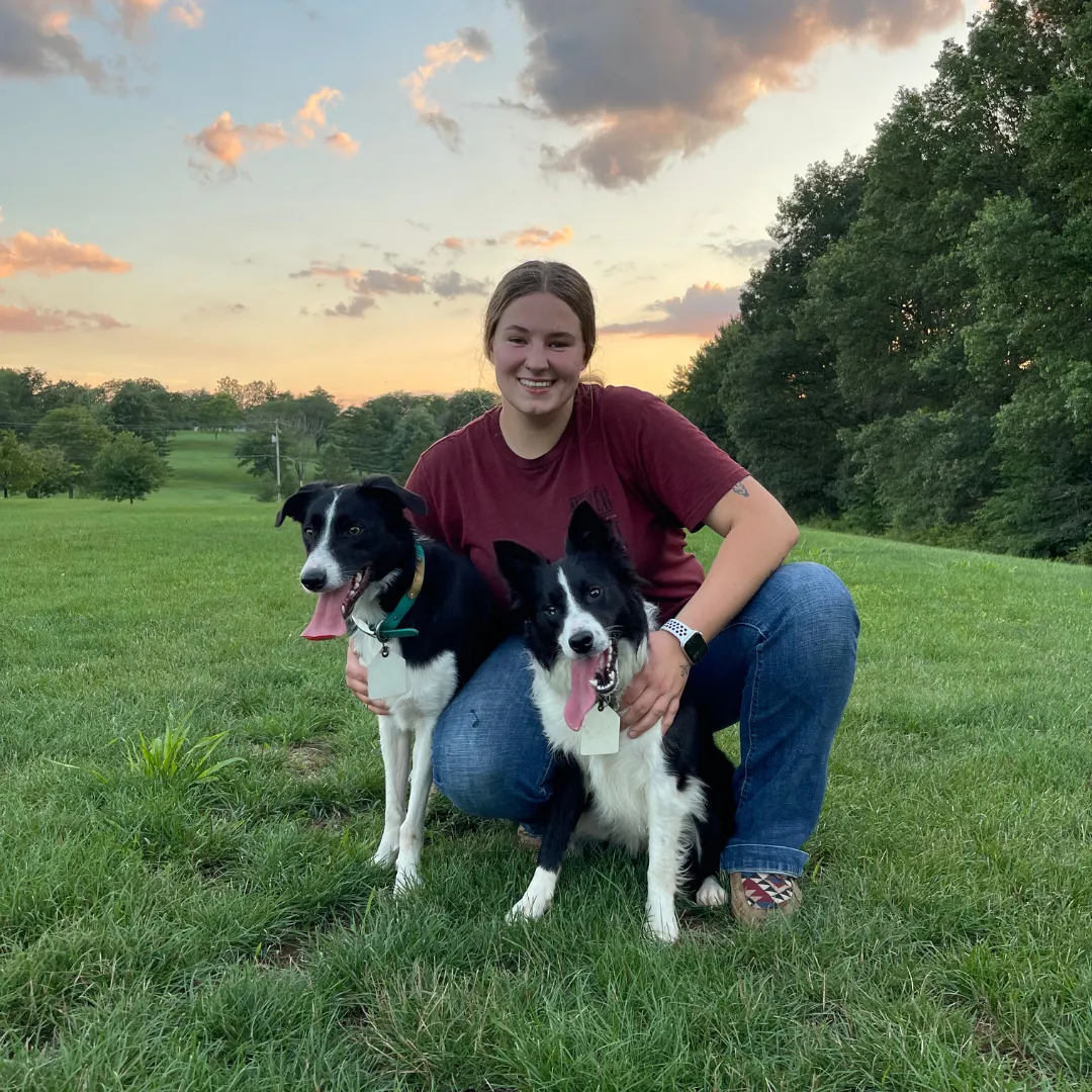 dog trainer and dogs