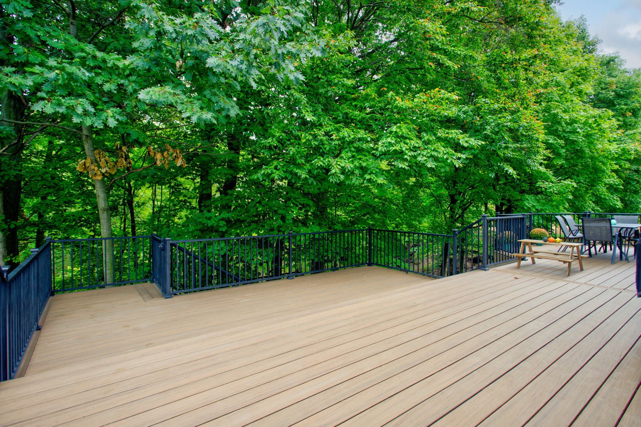 multi-level deck with steps down into wooded area