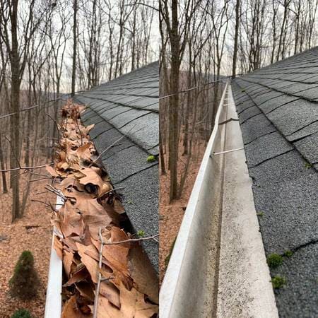 Roof Cleaning 
