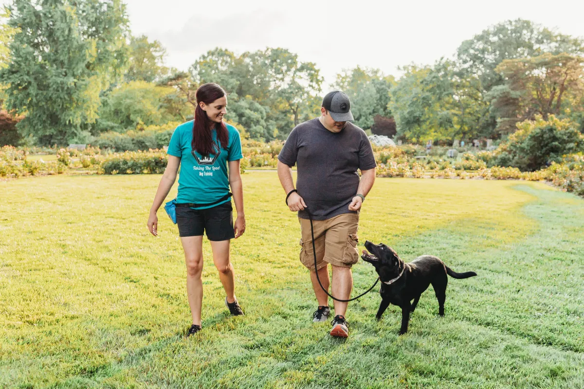 private-dog-obedience-lessons