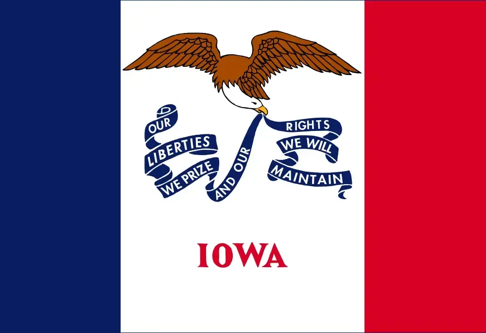 the iowa state flag