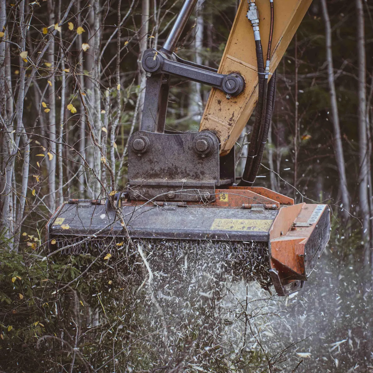 Professional brush clearing services in Connecticut, helping you reclaim your land by removing dense brush, overgrowth, and debris. We ensure your property is prepared for landscaping, construction, or fire prevention.