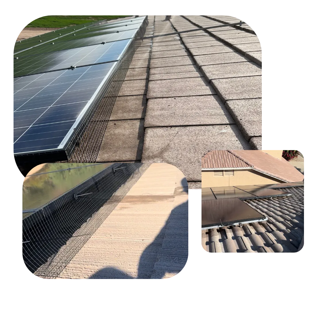 Empyreal Services Solar Panel Cleaning