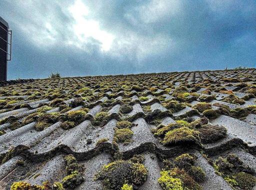 LA Takvård Skaraborg - Taktvätt