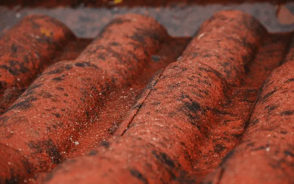 Betongtak med påväxt och spricka