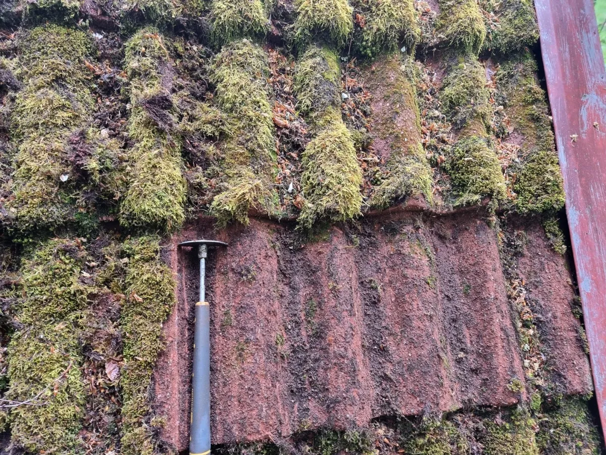 LA Takvård Skaraborg - Taktvätt