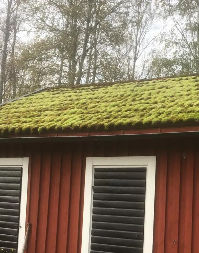 LA Takvård Skaraborg - Taktvätt