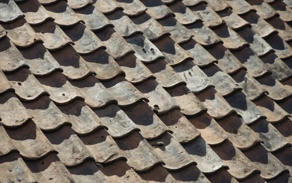 Tegeltak med påväxt av lav och alger