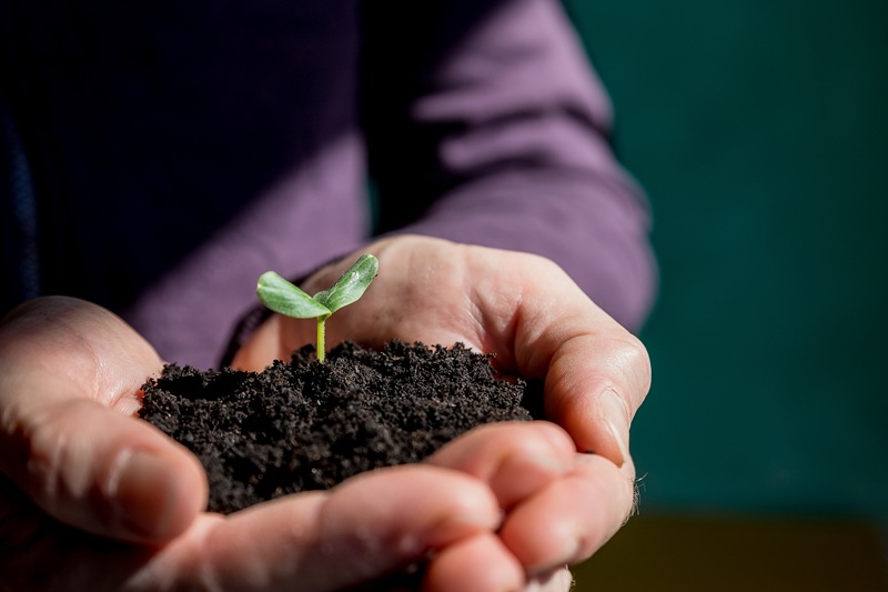 You Reap What You Sow: What Your Daily Choices Are Building in Your Business