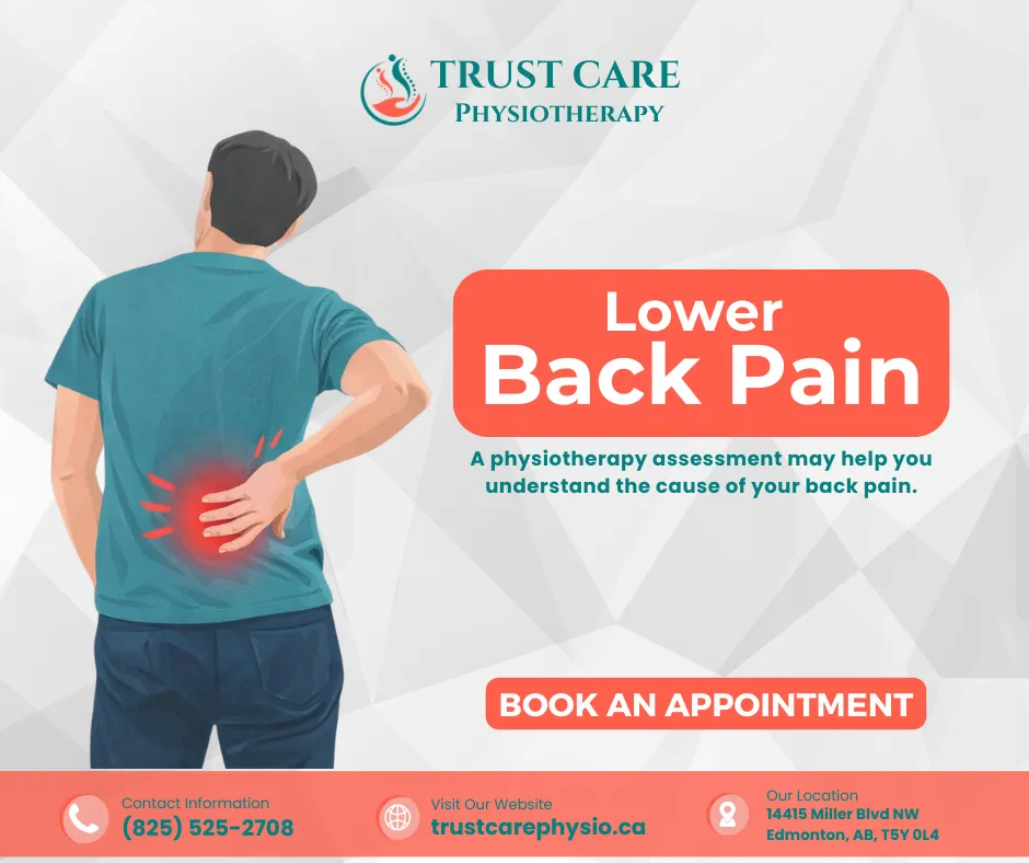 Common Causes of Lower Back Pain | Trust Care Physiotherapy Edmonton